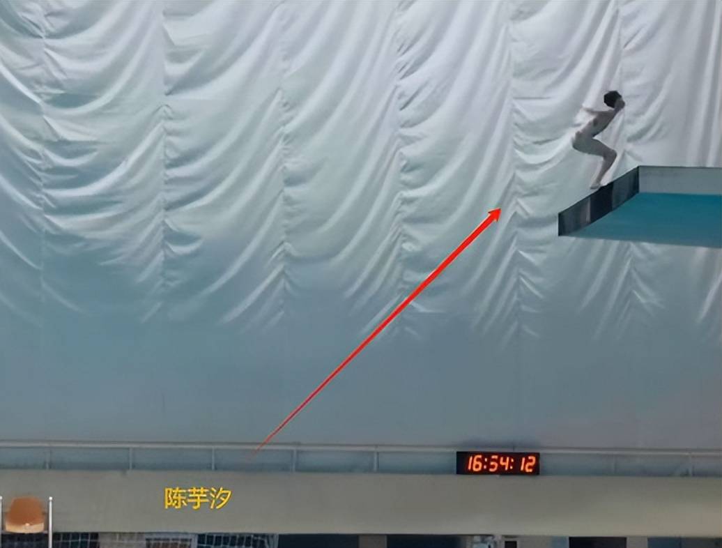 玲背景被扒怪不得陈芋汐能三连冠一查吓一跳！陈芋汐主教练余晓(图12)